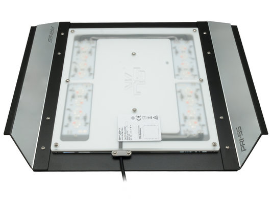 SkyLight PRI-55 Intense